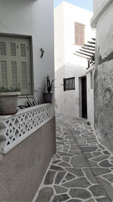 Naxion Esti - Διαμονή Στην Παλιά Χώρα Της Νάξου Villa Naxos City Dış mekan fotoğraf