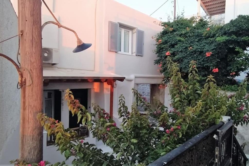 Naxion Esti - Διαμονή Στην Παλιά Χώρα Της Νάξου Villa Naxos City Dış mekan fotoğraf