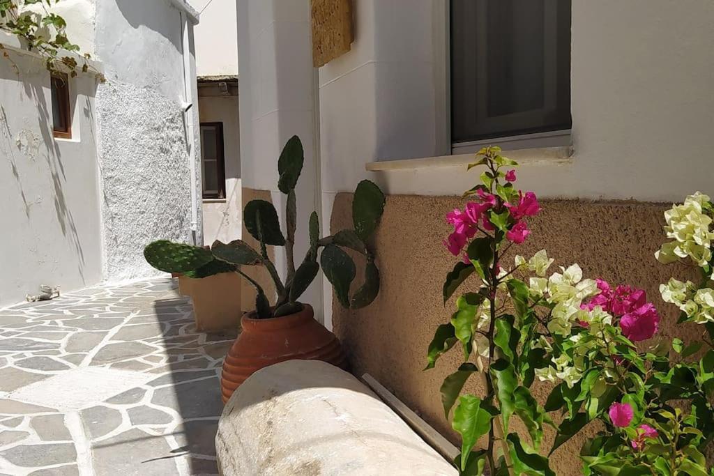 Naxion Esti - Διαμονή Στην Παλιά Χώρα Της Νάξου Villa Naxos City Dış mekan fotoğraf