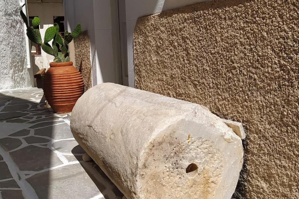 Naxion Esti - Διαμονή Στην Παλιά Χώρα Της Νάξου Villa Naxos City Dış mekan fotoğraf